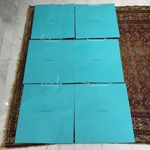 6 Brand NEW TIFFANY Shopping Bags.